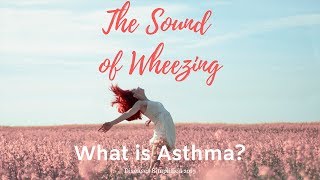 What is Asthma The Sound of Wheezing [upl. by Oppen]