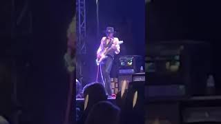 Steve Vai doing Eddie Van Halen Level Shit [upl. by Aivlys]