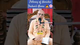 Potency of Namacharye Haridas Thakurs Name 🙇🌸 His Holiness Bhakti Ashrye Vaisnav Swami Maharaj 🌸 [upl. by Florry]