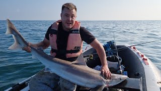 SIB fishing uk at its best inflatable boat fishing in the solent  Sams biggest ever fish [upl. by Strage]