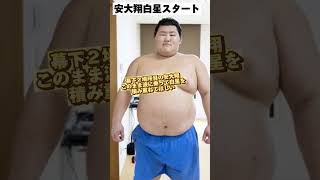 大相撲春場所 幕下２場所目の安大翔の初日は❓️ [upl. by Efthim]