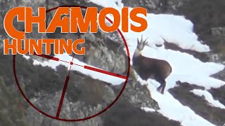 Hunting Alpine Chamois in France  2014 [upl. by Hareema]