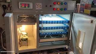 100 eggs Automatic incubator  fully automatic incubator [upl. by Ettevram789]