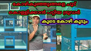 Brooder with cage ഭ്രൂഡർ കൂടെ കൂടുംകോഴി കുഞ്ഞുങ്ങളെ ചൂട് കൊള്ളിക്കാം കൂടെ കോഴികൂടും [upl. by Ynatterb]