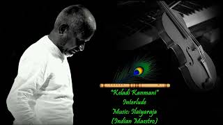 Keladi Kanmani Song  Interlude  Maestro Ilaiyaraja  Pudhu Pudhu Arthangal Tamil Movie [upl. by Evelina693]