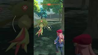 Shiny Cherry Hunt Day 12 pokemon shinypokemon [upl. by Elam]