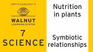 7 Science  Nutrition in plants  Symbiotic relationships [upl. by Karla]