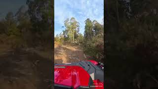 quod bike sportsman 1000 up a mountain forestry trail in Tasmania [upl. by Blatt]