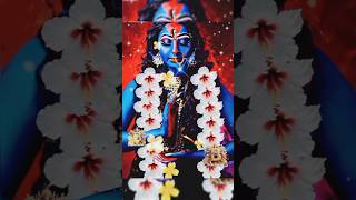 Shyama Ma Ki Amar Kalo 🥰🌺 Sakali Tomari Ichchha  Kumar Shanu  Audiolike shyamasangeet [upl. by Triny]