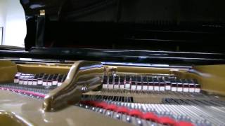 Petrof Model II Grand Piano [upl. by Ivel197]