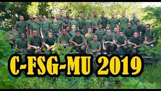 Sargento Músico Fuzileiro Naval 2019 CFSGMUCFN [upl. by Capriola]