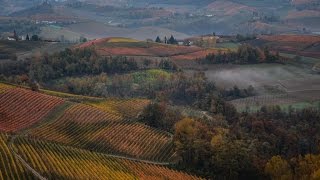 Langhe in autunno WE360 tra i vigneti piemontesi [upl. by Josefina862]