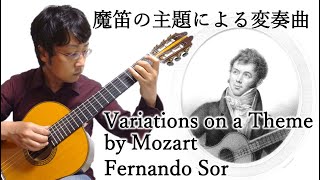 魔笛の主題による変奏曲／Variations on a Theme by Mozart ／Fernando Sor [upl. by Enautna]