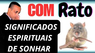 Significados espirituais de sonhar com rato [upl. by Selegna]