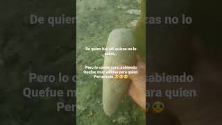 Al remover la tierra me encontre esta herramienta 🤔🤔🤔aquin pertenecio nunca quiza lo sabre😔😔 [upl. by Attenrad608]