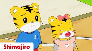 Come Back Birdy  Compassion  Full Episode 06  Kids video for Kids  Shimajiro [upl. by Nogas541]