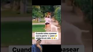 El perro canguro no existe…😰🤣humor [upl. by Imef]