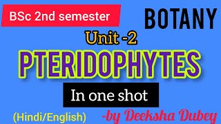 Pteridophytes  in one shot BSc 2nd semester botany unit 2 bsccrashbiologybscbotanypteridophytes [upl. by Hedvah]