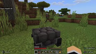 Theres a Black Turtle In My Minecraft World [upl. by Aleahpar]