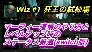 wiz1マーフィー道場とレベルアップ時のステータス厳選のやり方小ネタ [upl. by Kristofer149]