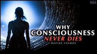 Why Consciousness is Immortal  The Philosophical Proof of Life After Death [upl. by Aremihc442]