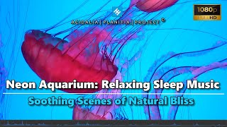 Fall Asleep Fast  Calming Jellyfish Habitat 🐟 Relaxing Music for Deep Sleep amp Stress Relief 🎶 [upl. by Maggio]