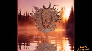 Shpongle  Around The World In A Tea Daze Ott Remix [upl. by Dez638]