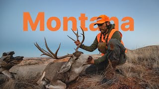 WHAT YOU NEED TO KNOW  2022 Montana Application Strategy [upl. by Smail681]