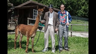 Heimstory  Ein Tag im Altersheim mit Ruedi und Heinz [upl. by Nodab]