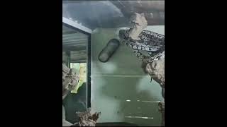 Mysore zoo part🐍🐍 2snakevideosnakes [upl. by Gwendolin]