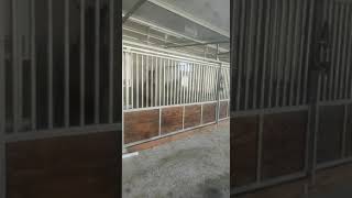 Comederos automáticos para caballos duplos para boxes contiguos [upl. by Ylrebme]