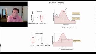 Energiediagrammen  Scheikundelessennl [upl. by Pence673]