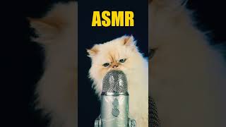 CAT ASMR [upl. by Arit823]