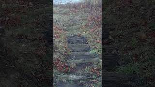 November 20 2024 a walk to Lake Erie Family property in North East PA 16428 [upl. by Nawud]