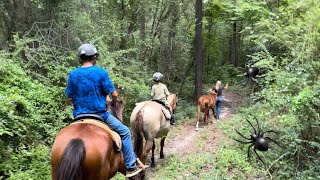 Trail Ride with Kids and young horses What could go wrong [upl. by Marienthal899]