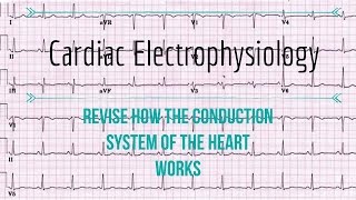 Cardiac Electrophysiology [upl. by Yadnil]