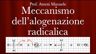 Chimica organica Meccanismo Alogenazione Radicalica L35 ManueleAtzeni ISCRIVITI [upl. by Naujaj]