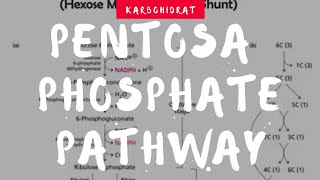 Pentose Phosphate Pathway [upl. by Tedder]