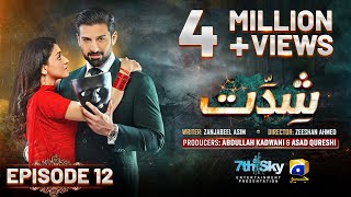 Shiddat Episode 12 Eng Sub  Muneeb Butt  Anmol Baloch  19th March 2024  HAR PAL GEO [upl. by Fife]