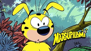 Marsupilami Channel Trailer 🇺🇸 [upl. by Nnylireg]