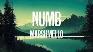 Marshmello  Numb Lyrics [upl. by Jacky451]