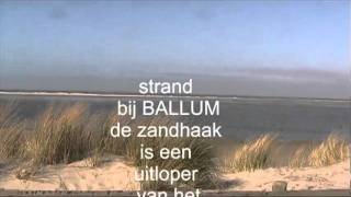 Ameland duin en zee [upl. by Graff]