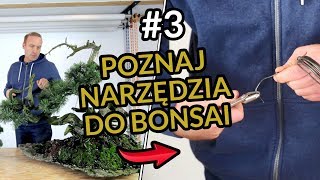 PRZYGOTOWANIE do STYLIZACJI drzewka BONSAI Ibuki 3 [upl. by Janis]