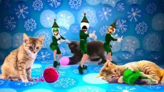 Elf Yourself  Cats  Bowser Chain Chomp and Luigi [upl. by Lek]