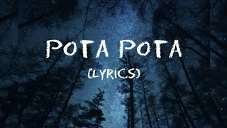 Pota pota  TikTok song lyrics [upl. by Nodnrb]