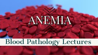 ANEMIA PATHOLOGY lecture 6 MEGALOBLASTIC ANEMIA with important stuff easy to do [upl. by Iruj776]