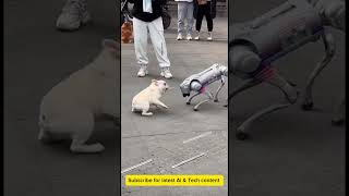 ai robot dog who you think would win 🏆 ai [upl. by Katsuyama]