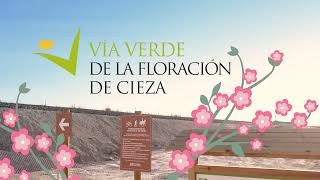 Vía Verde Floración de Cieza [upl. by Angelle98]