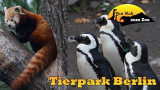 Tierpark Berlin  Um Weiten besser als der Zoo  Von Nah zum Zoo [upl. by Hughmanick191]