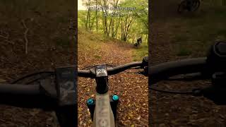 Im Einklang mit der Natur natur freiheit wald erinnerungen mtb entschleunigung naturerlebnis [upl. by Fachini]